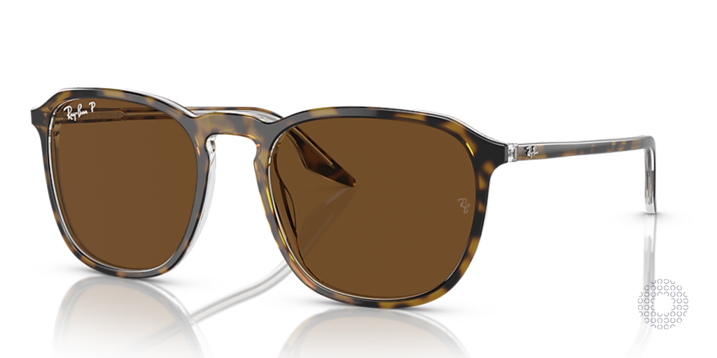 Ray-Ban RB2203