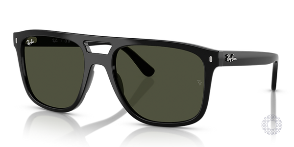 Ray-Ban RB2213