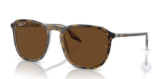 Ray-Ban RB2203