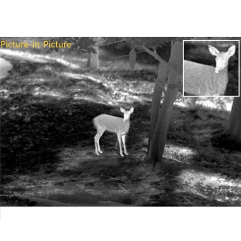 Explorator TB75-384 Binoculaire Warmtebeeldcamera