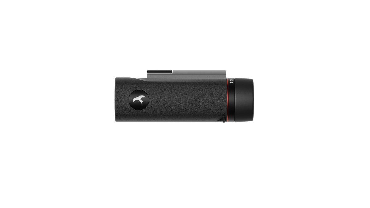 Falco 8x25