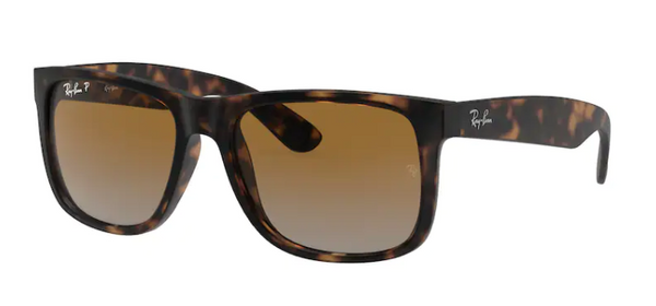 Ray-Ban RB4165