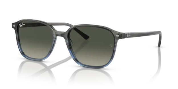 Ray-Ban RB2193
