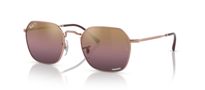Ray-Ban RB3694