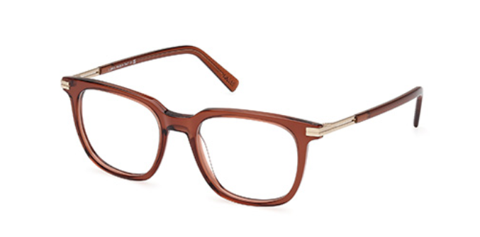 Ermenegildo Zegna EZ5273