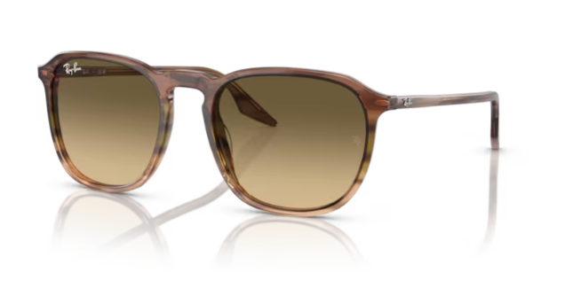 Ray-Ban RB2203
