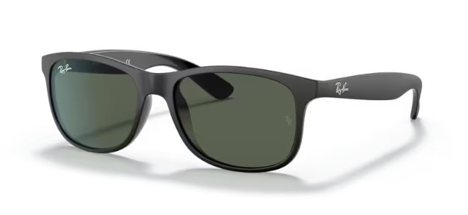 Ray-Ban RB4202