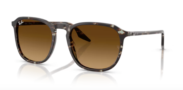 Ray-Ban RB2203